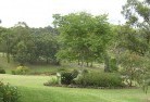 Evansfordresidential-landscaping-40.jpg; ?>